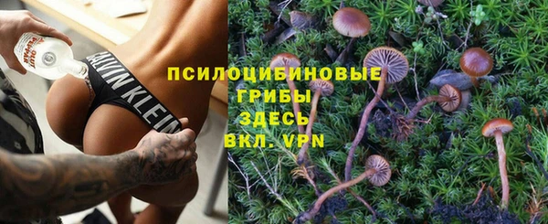 таблы Пересвет