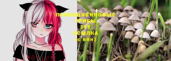 ALPHA-PVP Нягань