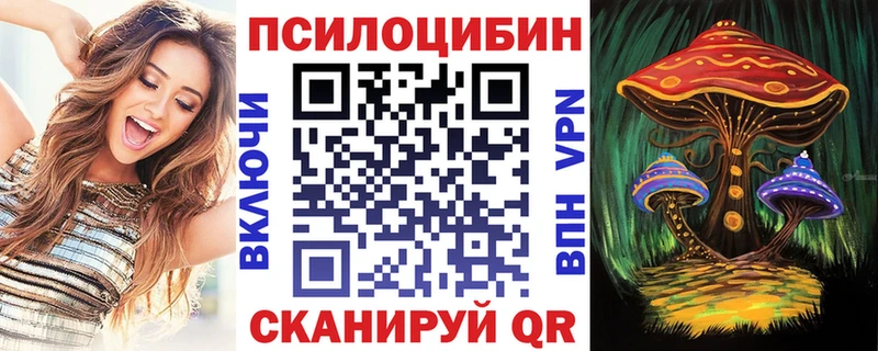 Псилоцибиновые грибы мицелий  Купить закладки  Дубна 